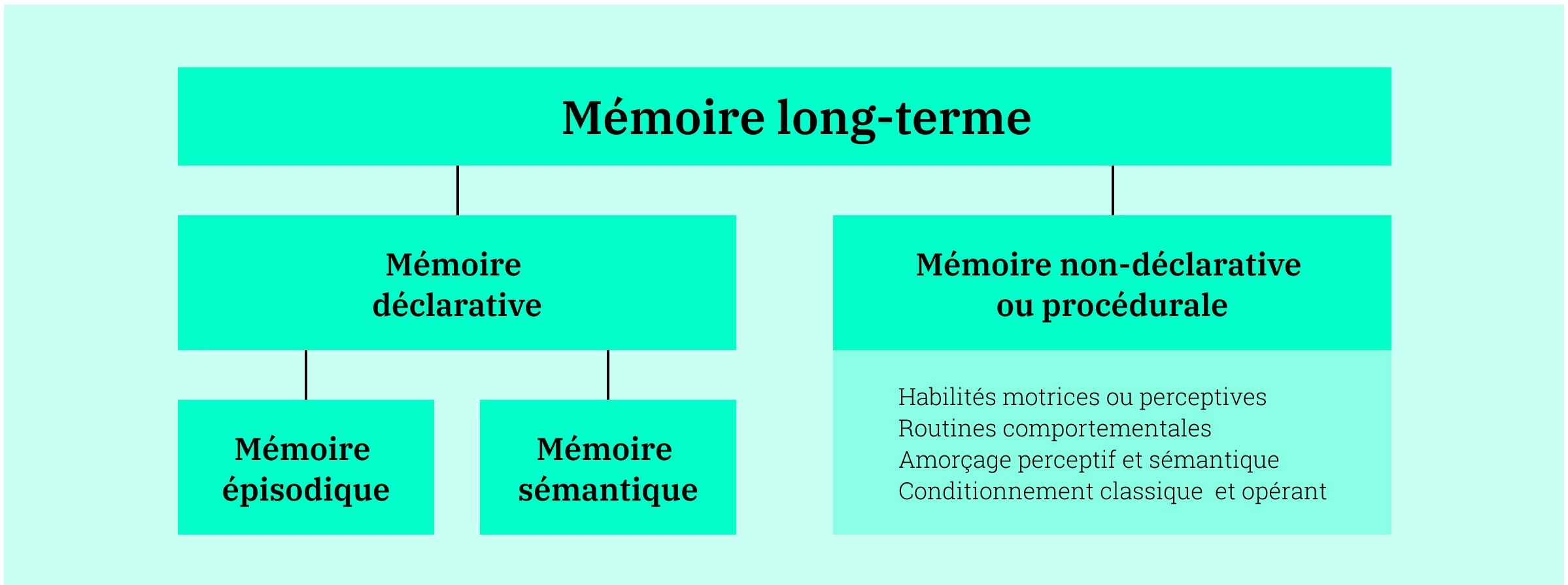 Modèle de la mémoire long-terme