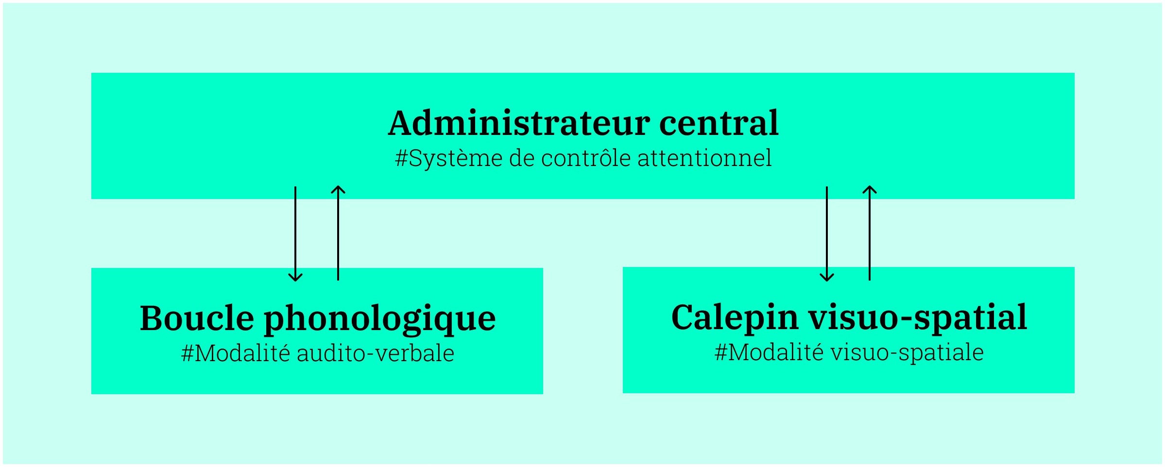 Modèle de la mémoire de travail